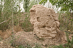 八坝长城2段