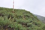 吴家塬村长城