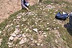 焦家山敌台