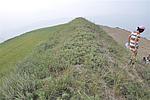 陈家山障墙