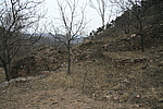 大西庄黑虎关