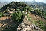 东洋兰村城