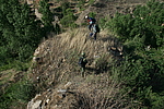 东洋兰村城