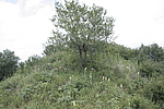 王庄子烽火台07号