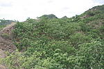 平山寨03号拦马沟