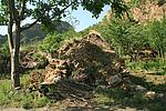 龙井关城