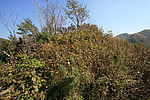 四道河子南山烽火台