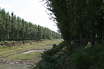 五台子路河
