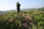 狼洞南山1号烽火台