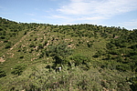 小胡口南沟长城