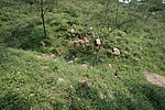 大岭北山长城2段（副线）