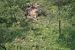 大岭北山长城2段（副线）