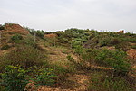 麻地湾村关