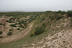 ̨峤2