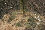 土坡1号烽火台