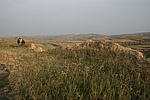 阻堡2号烽火台