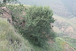 北场2段长城